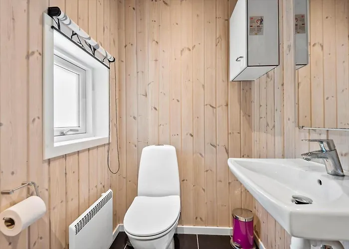 Bv377-blavand-fynsland-7